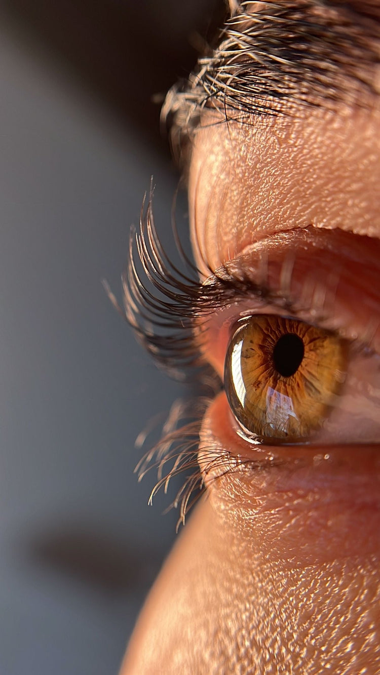 Wimpern / Lashes